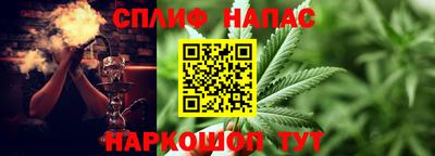 гашик Кунгур