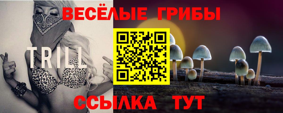 Галлюциногенные грибы мухоморы  наркота  Каменка  Вход с VPN 